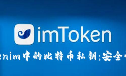 深入理解Tokenim中的比特币私钥：安全性、管理与应用