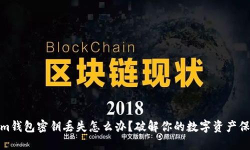 Tokenim钱包密钥丢失怎么办?破解你的数字资产保护之道