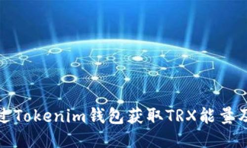 如何通过Tokenim钱包获取TRX能量及其优势