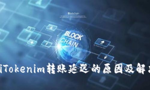 bibatiTokenim转账延迟的原因及解决方案