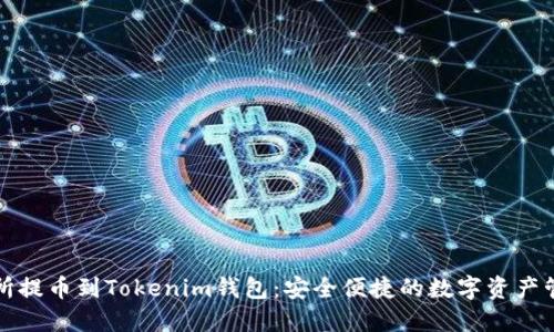 从交易所提币到Tokenim钱包：安全便捷的数字资产管理指南