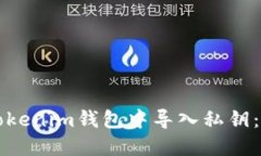 如何在Tokenim钱包中导入私钥：完整指南