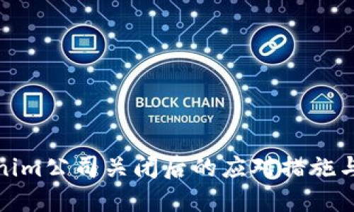 Tokenim公司关闭后的应对措施与建议