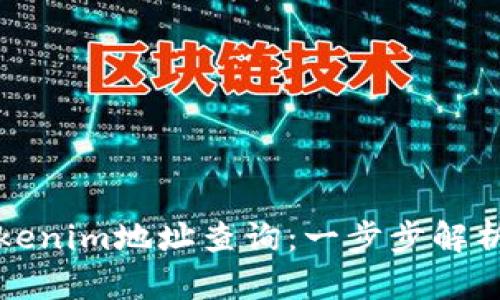 如何进行Tokenim地址查询：一步步解析与实用指南